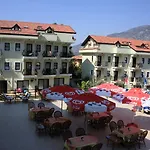 Grove 2*