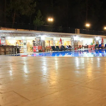 Grove אולודניץ